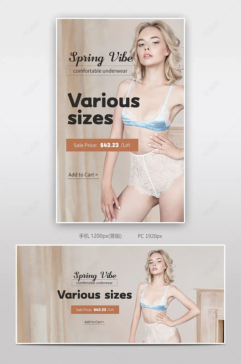 优雅简约情趣内衣内裤跨境电商海报