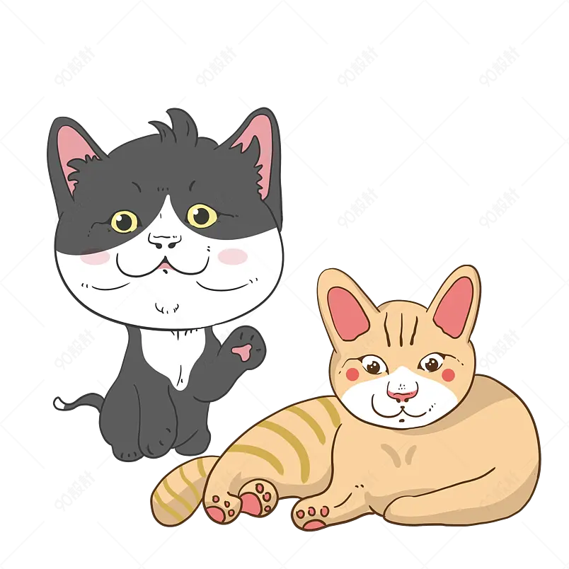 典雅猫咪他那憨状的样子让人发笑