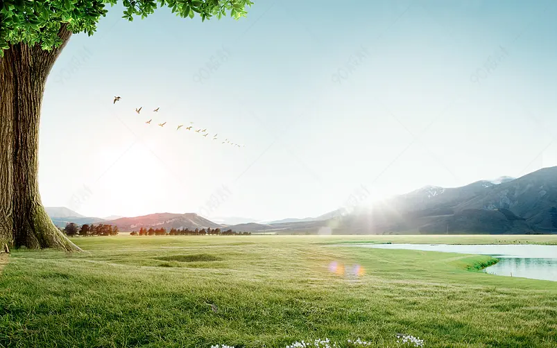 环保自然生态环境合成背景图设计