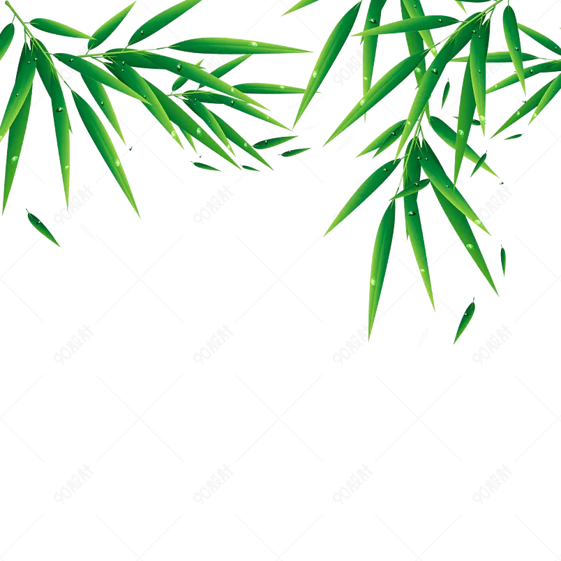 插画卡通装饰国潮端午节竹叶植物元素
