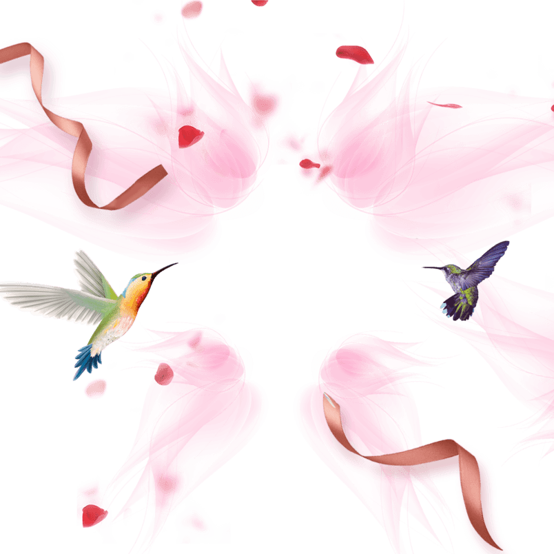 漂浮玫瑰花丝带