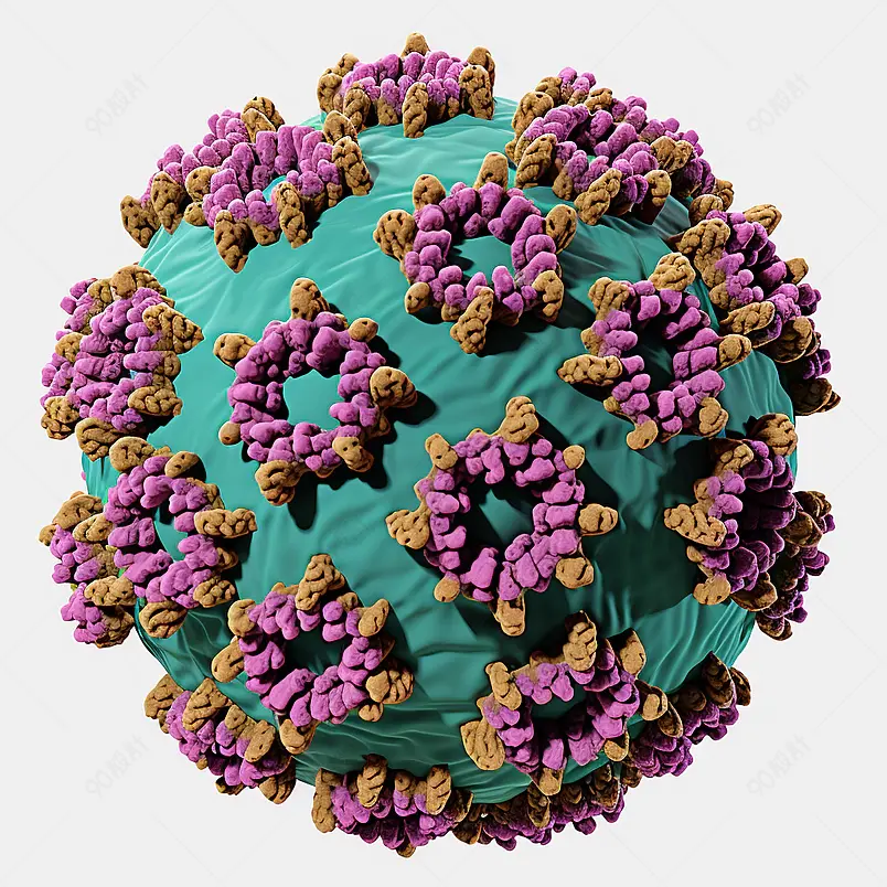 噬菌体MS2衣壳蛋白