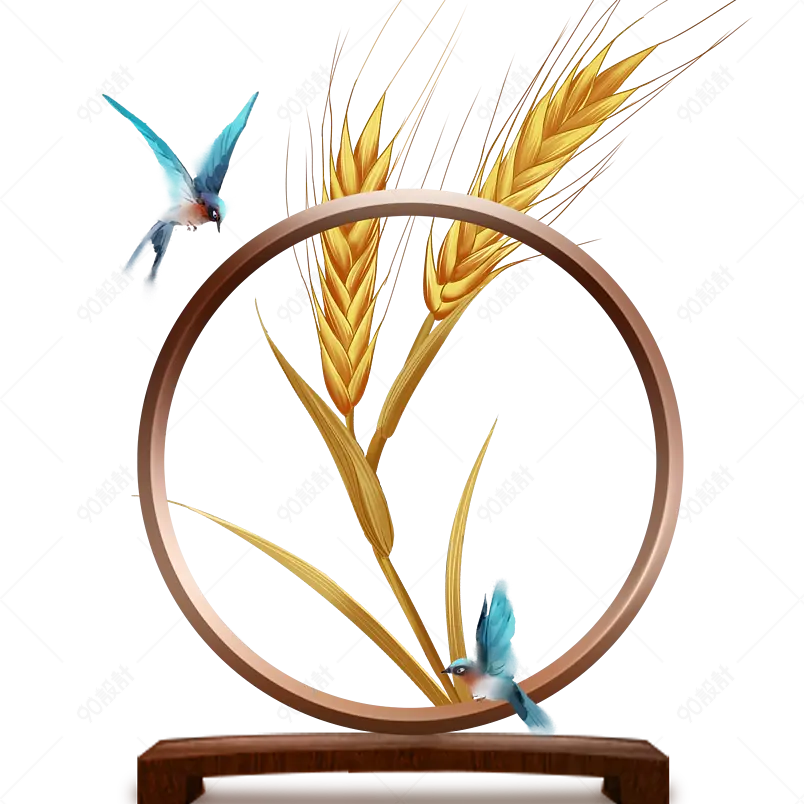 清新传统小满节气小麦麦穗海报装饰元素