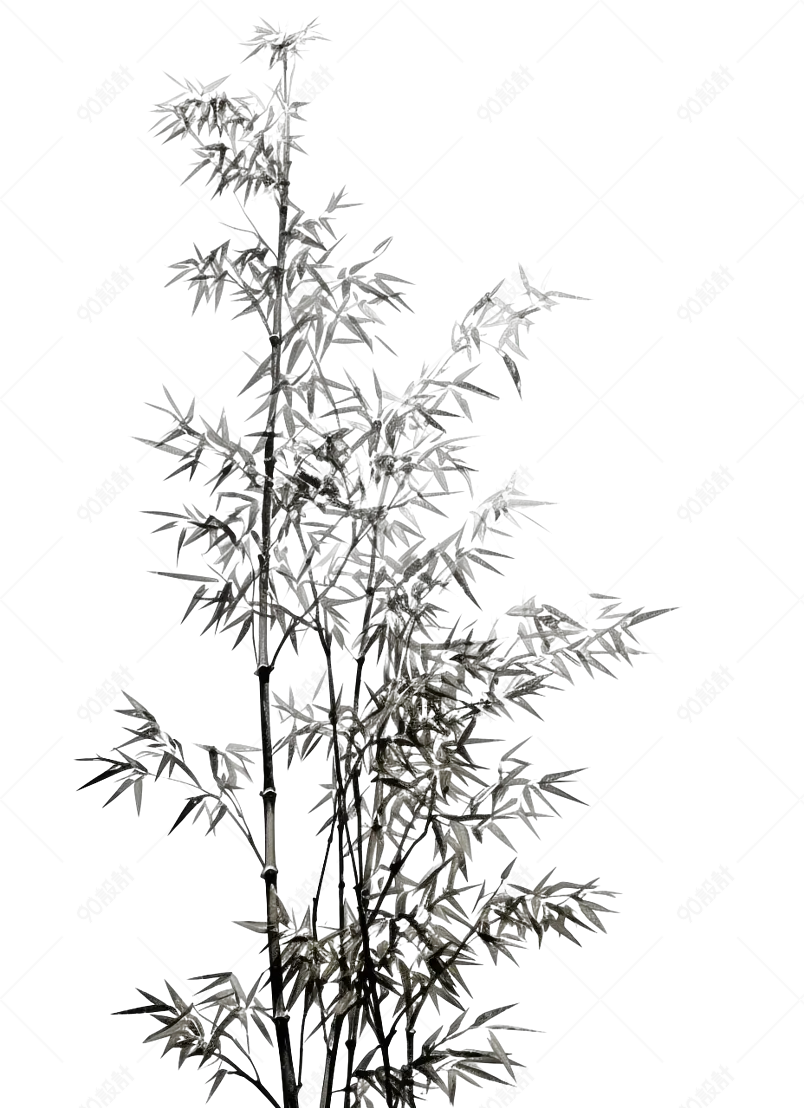 新中式写意毛竹插画古风国潮