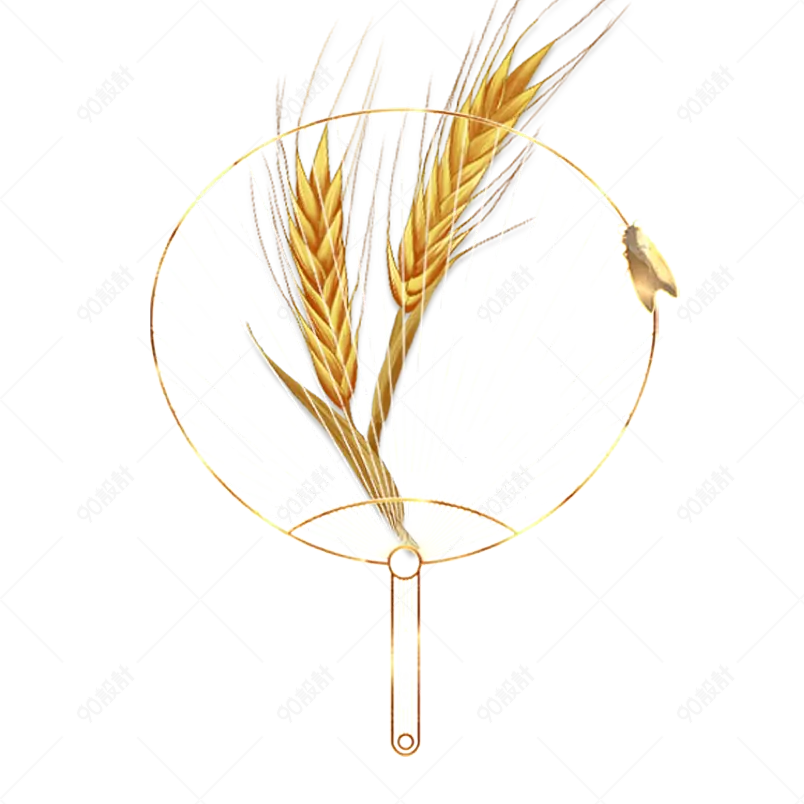 金色简约风格传统小满节气小麦麦穗海报装饰元素