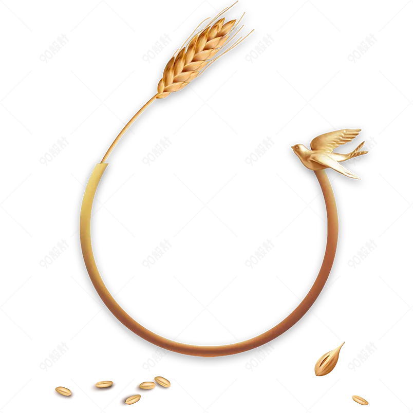 清新传统小满节气小麦麦穗海报装饰元素