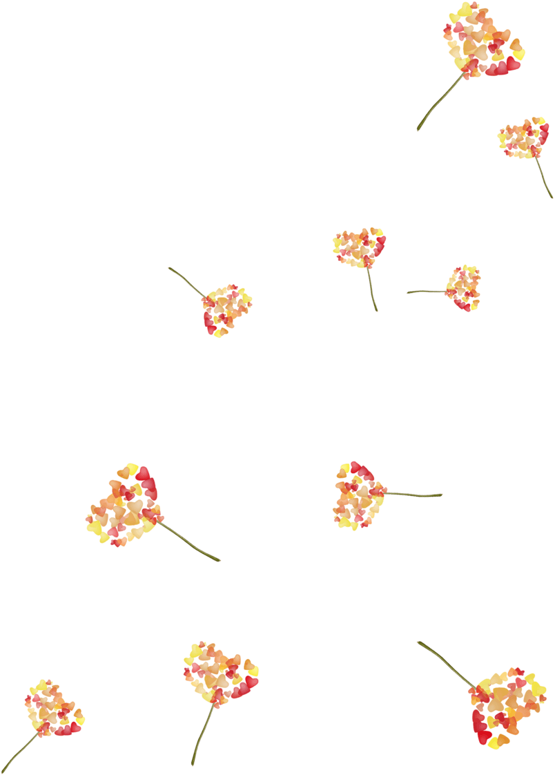  小清新鲜花
