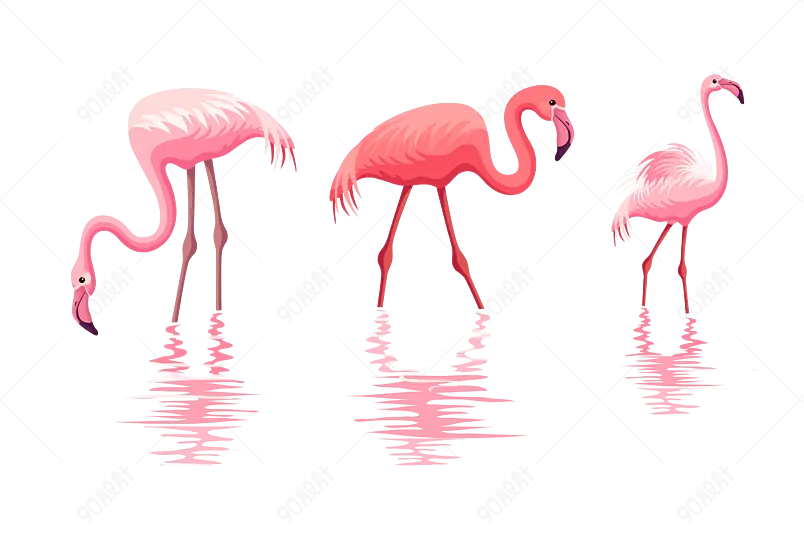火烈鸟夏天烈日插画夏天主题夏日