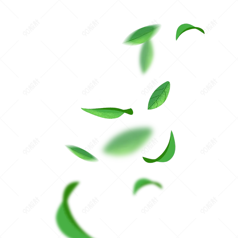 卡通装饰夏季植物立夏绿色漂浮叶子元素