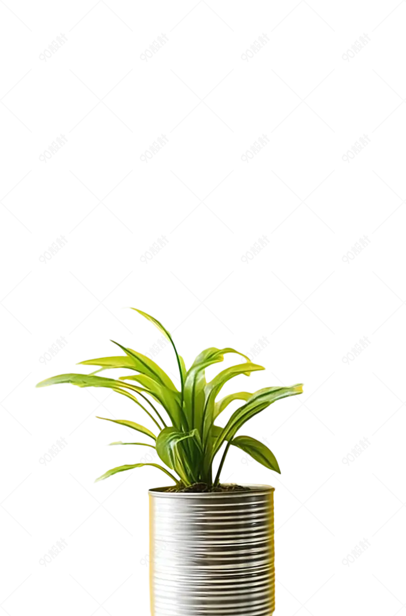 绿色植物盆栽盆景装饰桌面