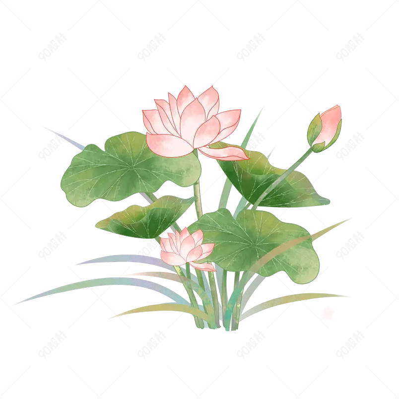 纯手绘卡通立夏荷花装饰素材海报插画设计