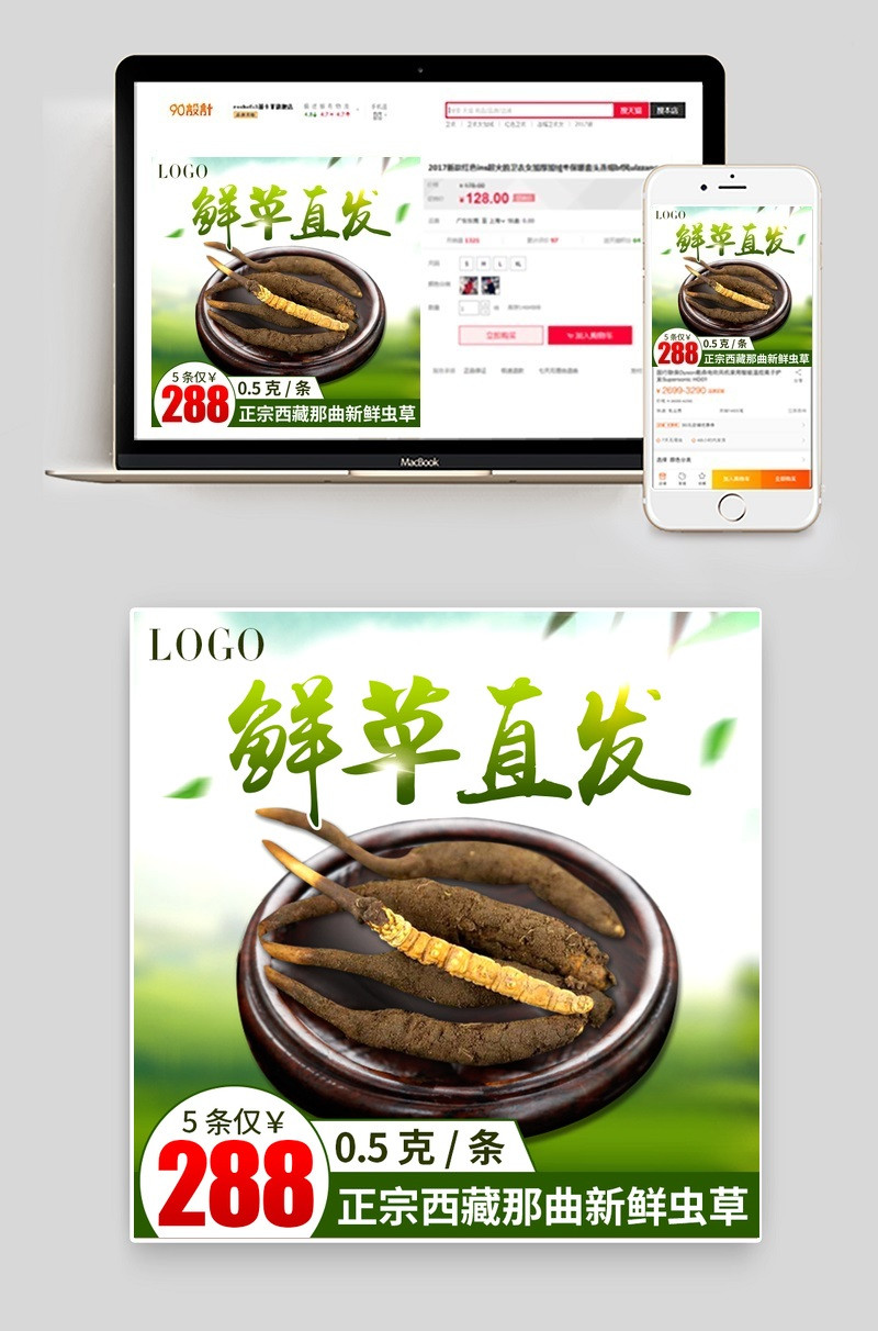清新风补品冬虫夏草主图直通车图psd模板