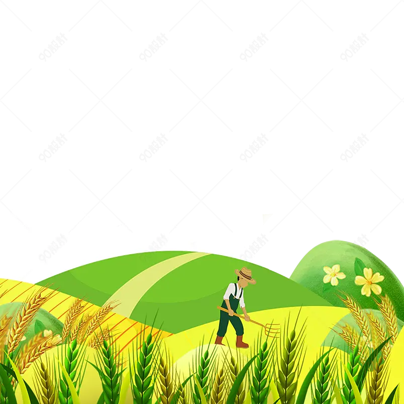 绿色夏季芒种节气装饰田野田园日出元素