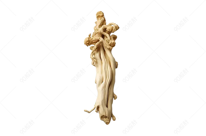 药材参片中药材养生滋补补品