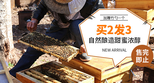 卡通蜂蜜促销钻展psd模板