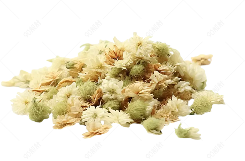白净厚实饱满的白菊花贡菊
