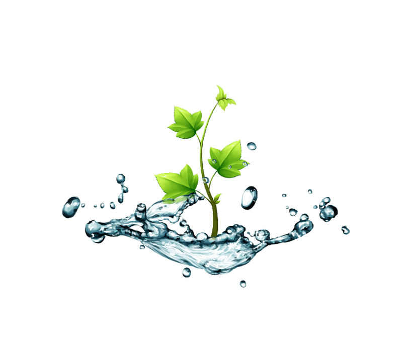 水中植物