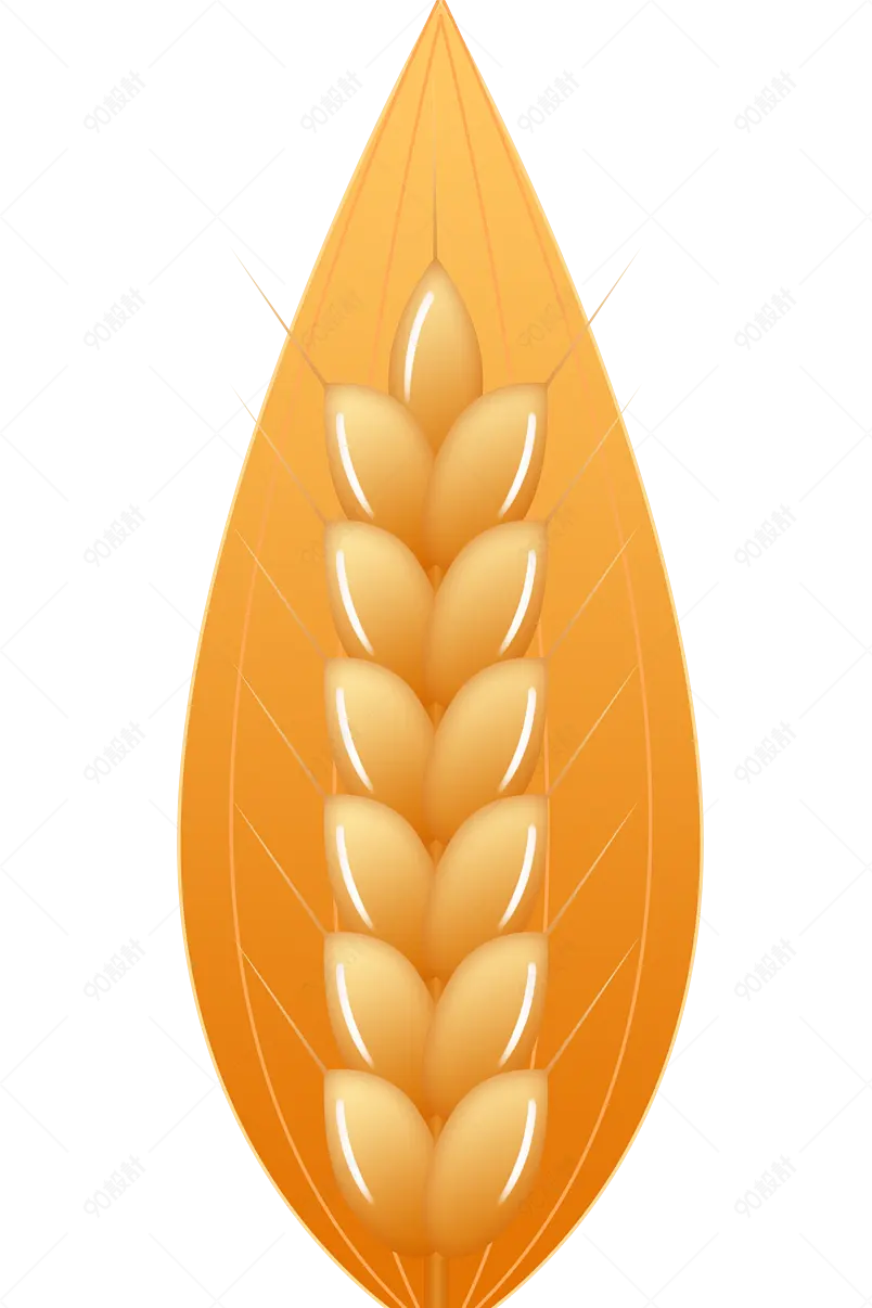 芒种小满小麦麦子麦穗节气装饰元素素材