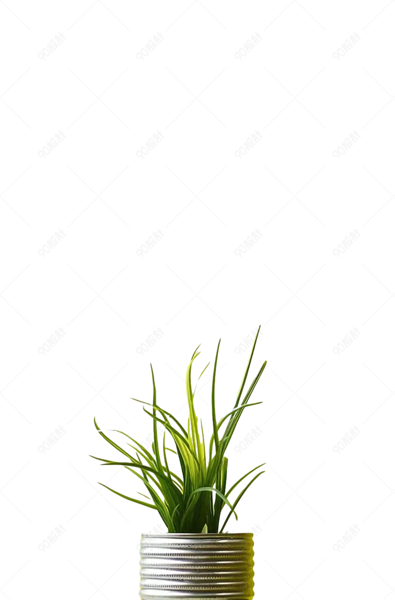 家居装饰盆景盆栽创意花盆
