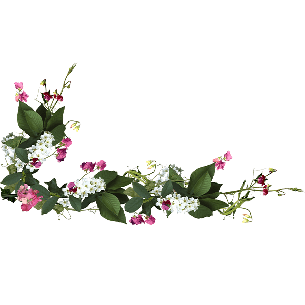 藤蔓花卉