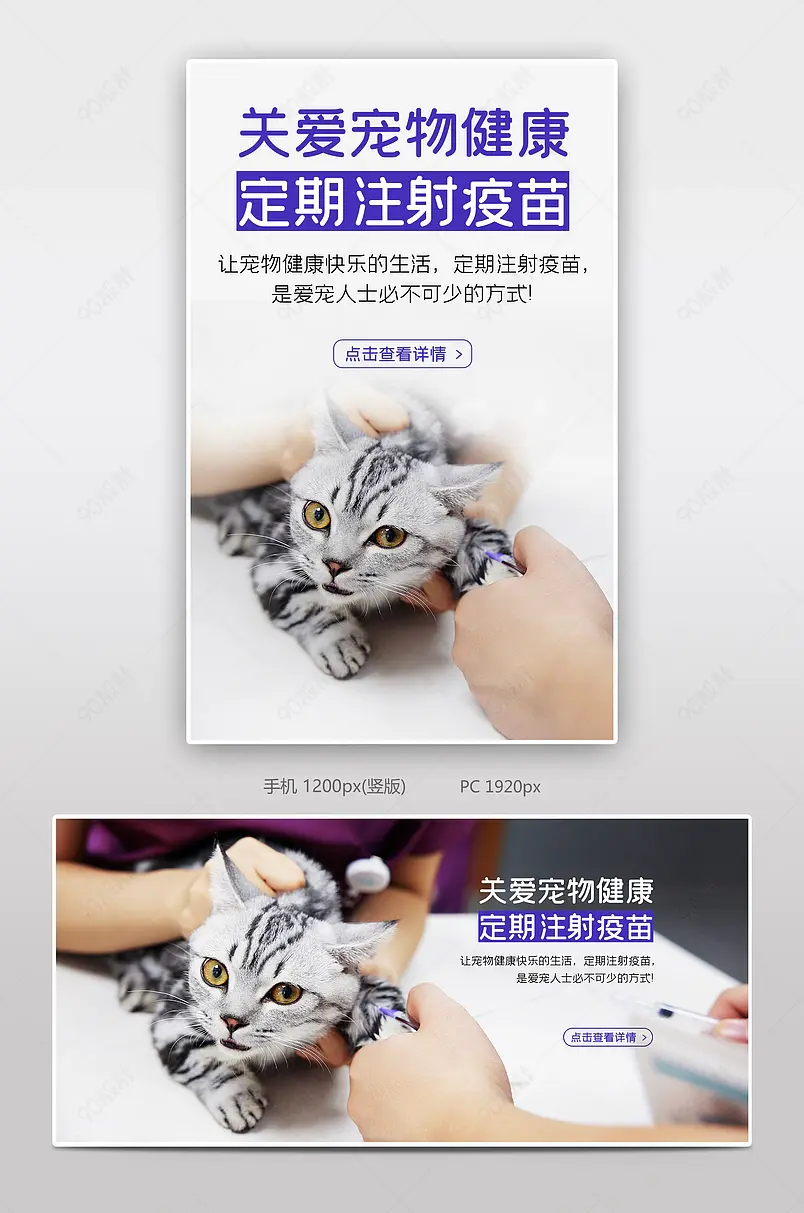 电商日常海报关注宠物健康定期注射疫苗爱宠人士海报宣传简约风格banner模板