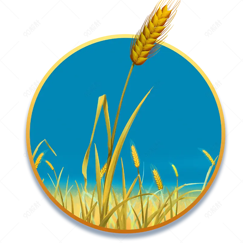 清新传统小满节气小麦麦穗海报装饰元素