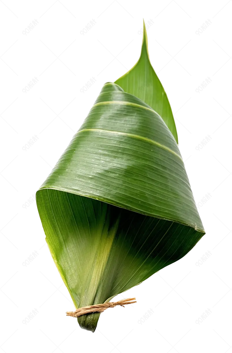 清新粽叶端午节包粽子叶子