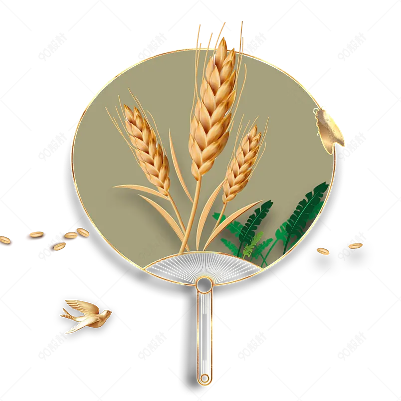 清新传统小满节气小麦麦穗海报装饰元素