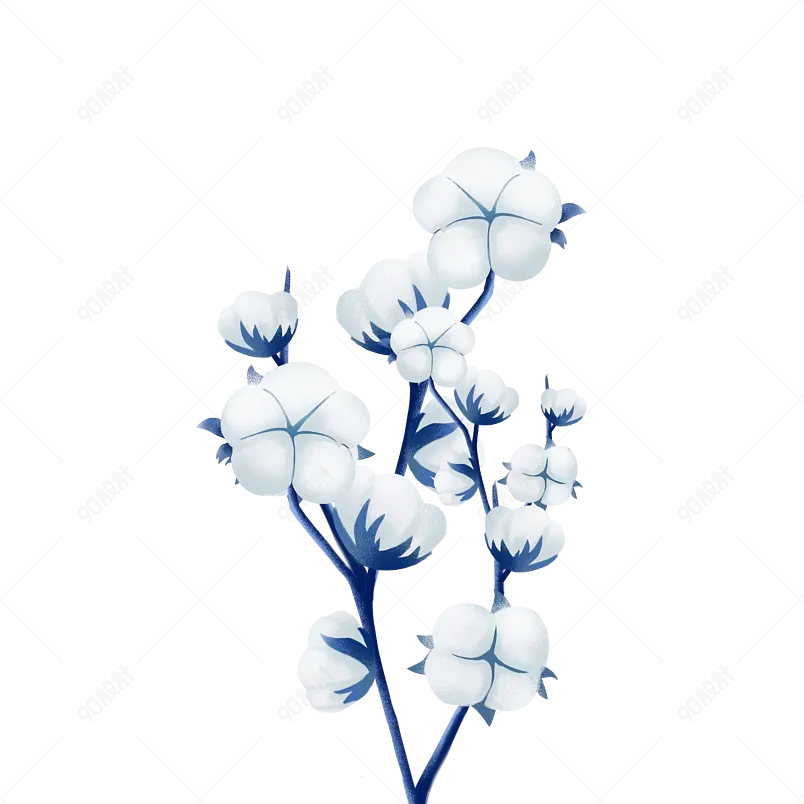 卡通蓝白插画棉花植物装饰棉球元素