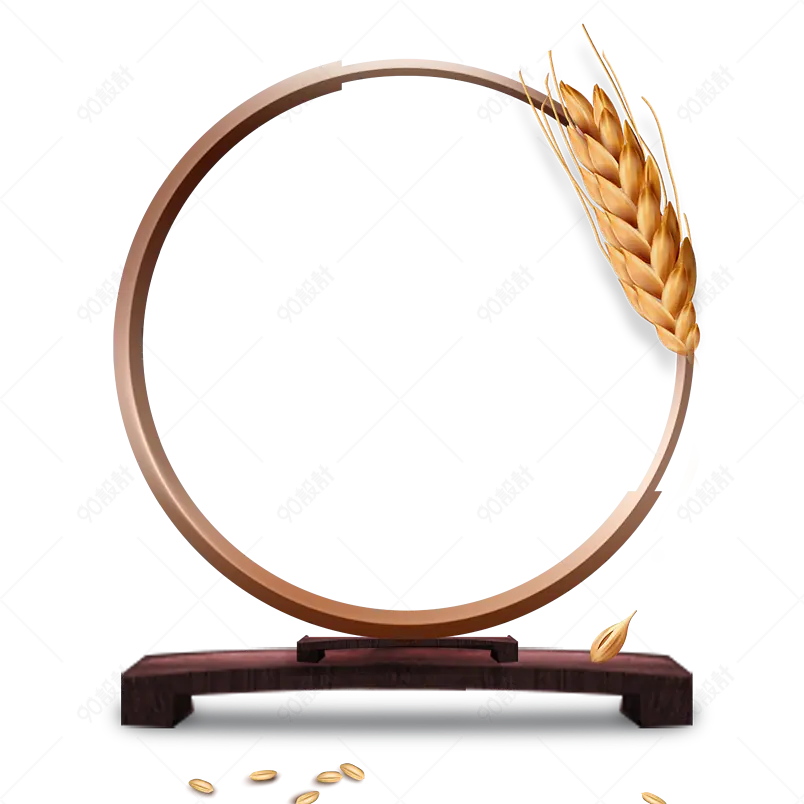 清新传统小满节气小麦麦穗海报装饰元素