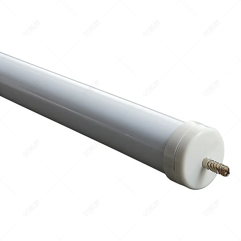 LED灯t8隔离在白色背景上