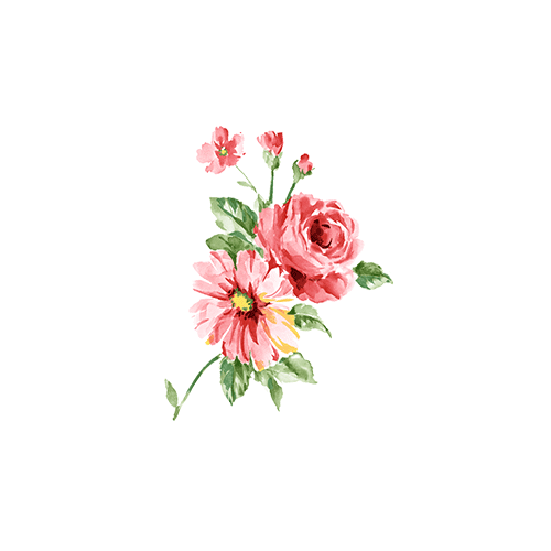 花朵素材