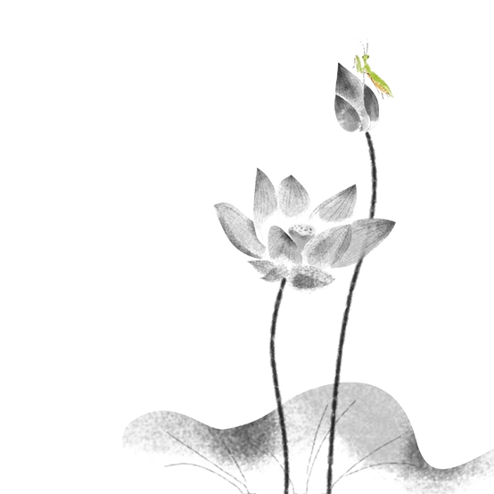 水墨莲花