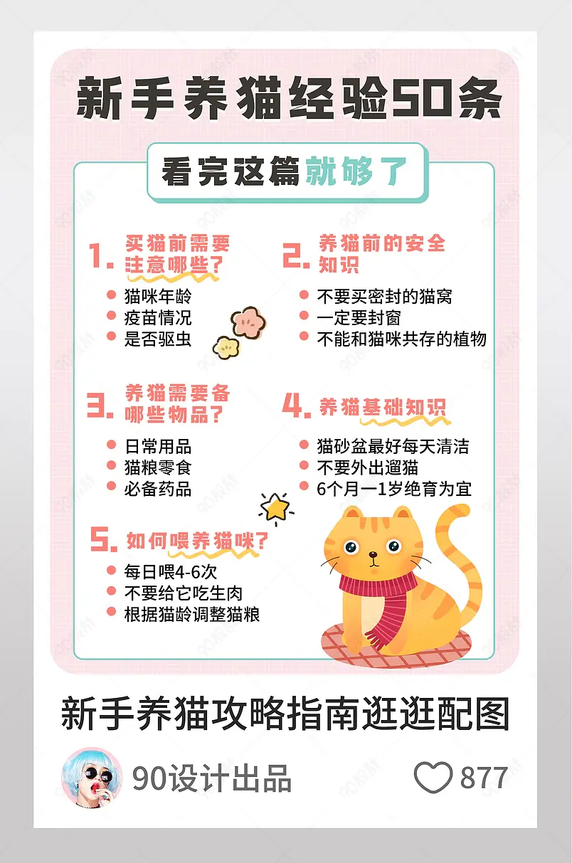 小清新粉嫩新手养猫攻略指南逛逛配图