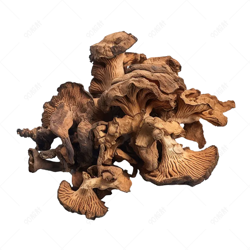 酒川芎中药草药中草药传统中医药片药膳药汤