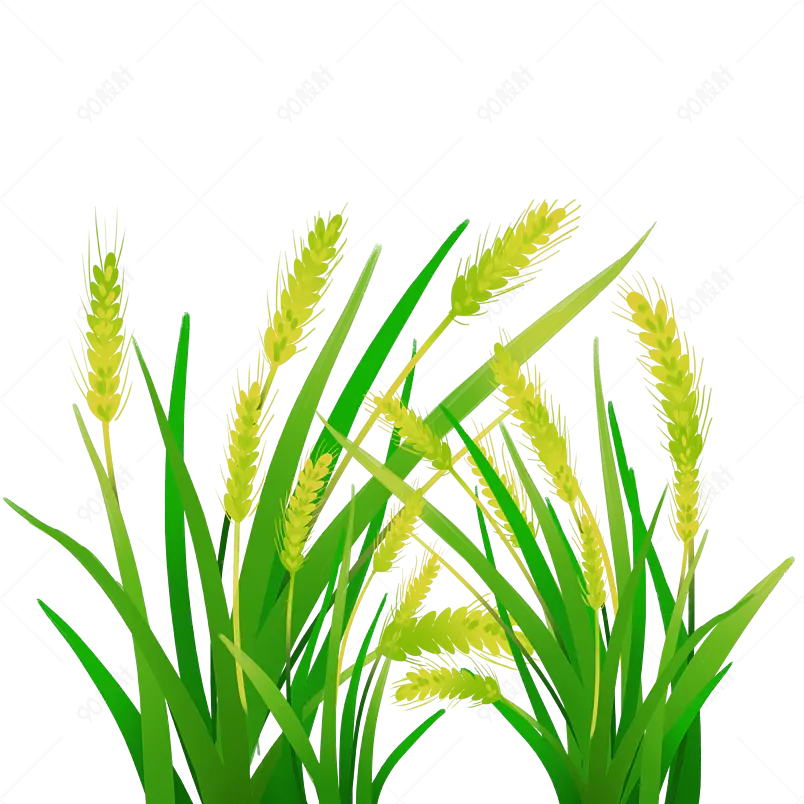 卡通装饰麦子绿色卡通小麦插画元素