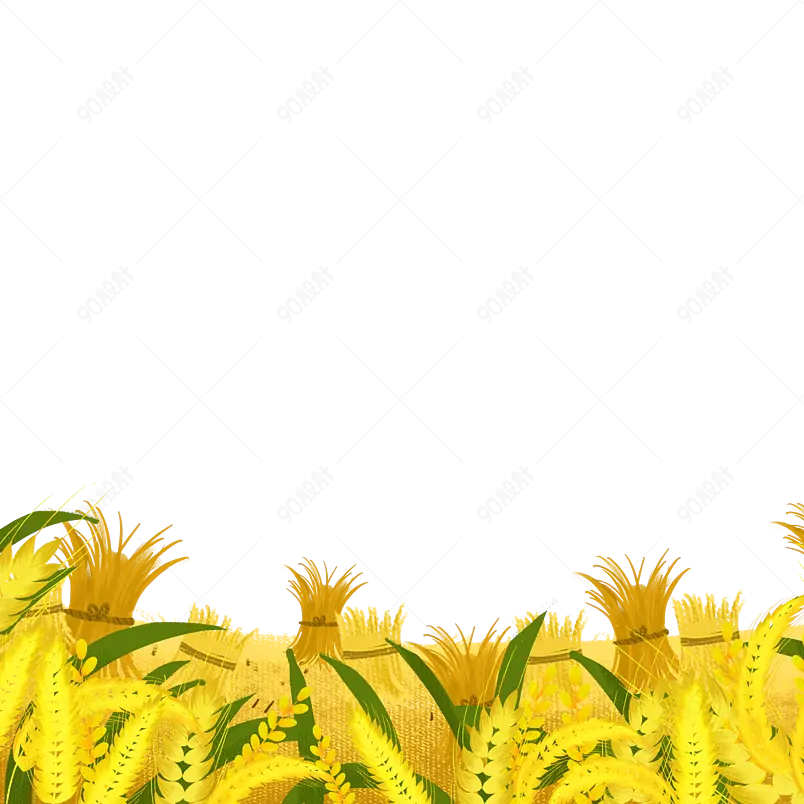 卡通装饰麦子小满黄色小麦插画元素
