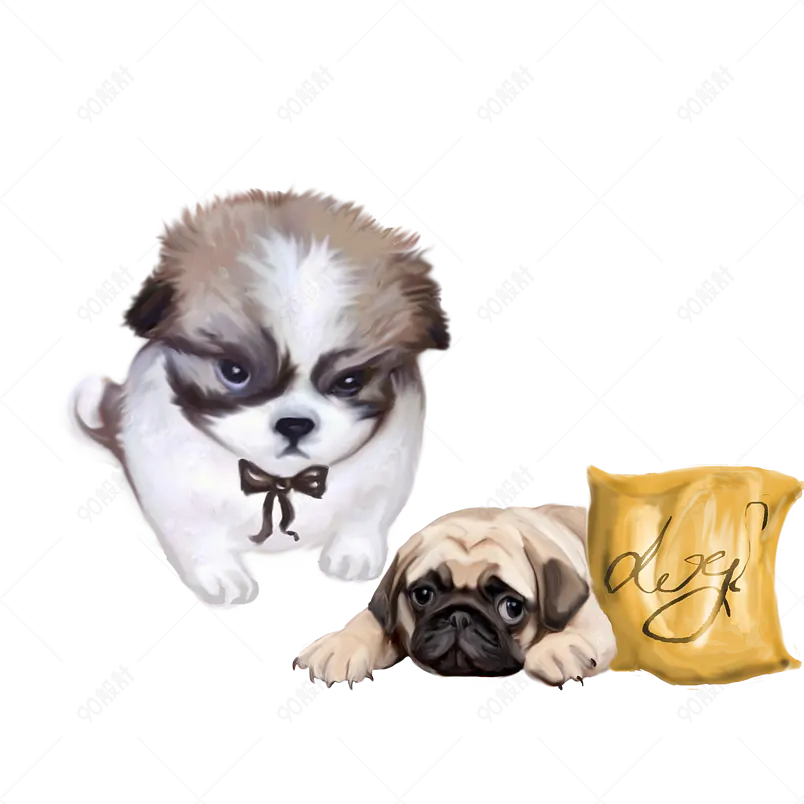 典雅狗狗凶猛忠诚聪明可爱很听话
