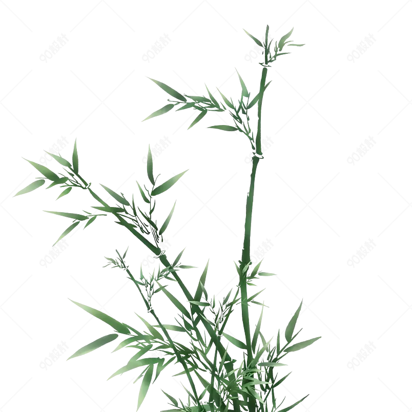 卡通绿色竹子装饰植物插画春天春季元素