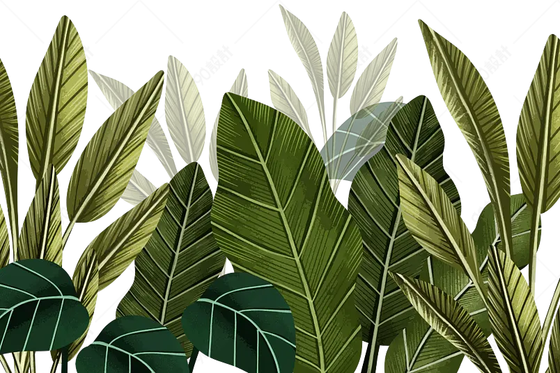 热带植物绿色环保植物绿植森林花草