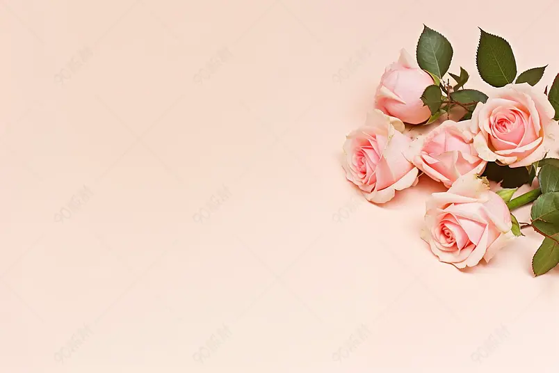 女神妇女节玫瑰花唯美背景海报图