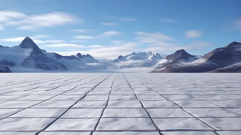 以雪山为背景的空砖地板图片