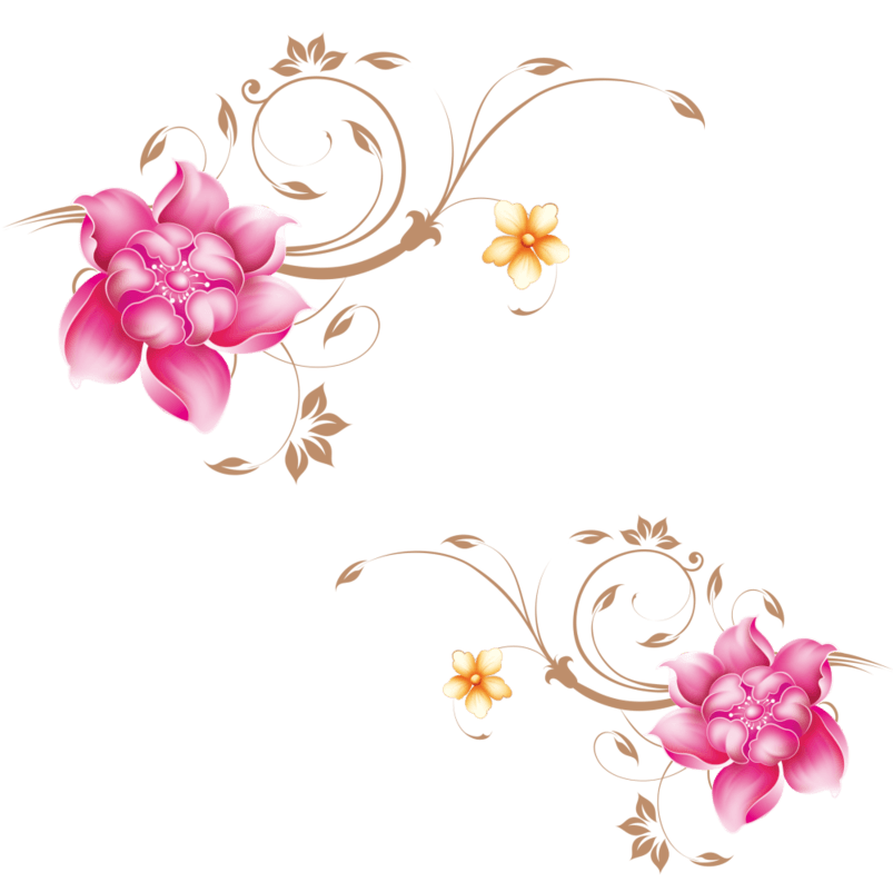  花朵图片素材