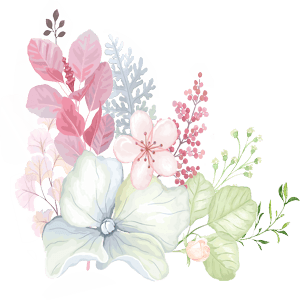 日系小清新插画