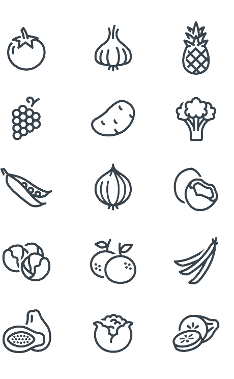 线条简笔画水果蔬菜图标