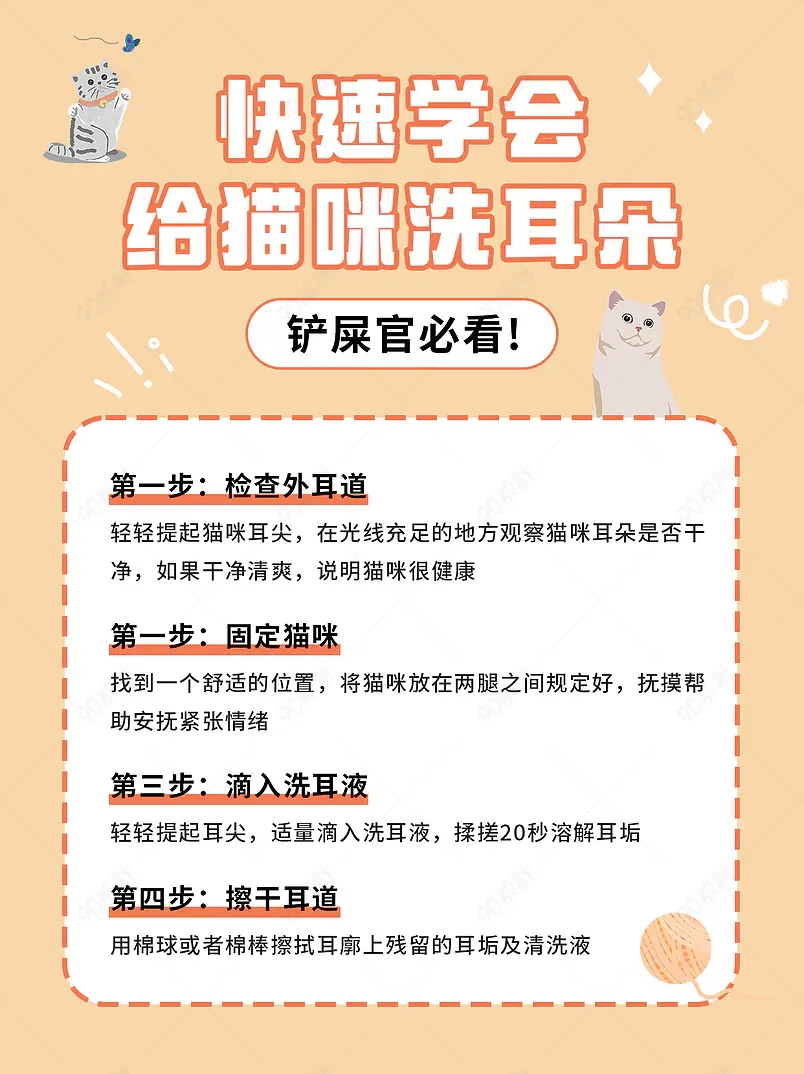 快速学会给猫咪洗耳朵宠物博主小红书页内配图