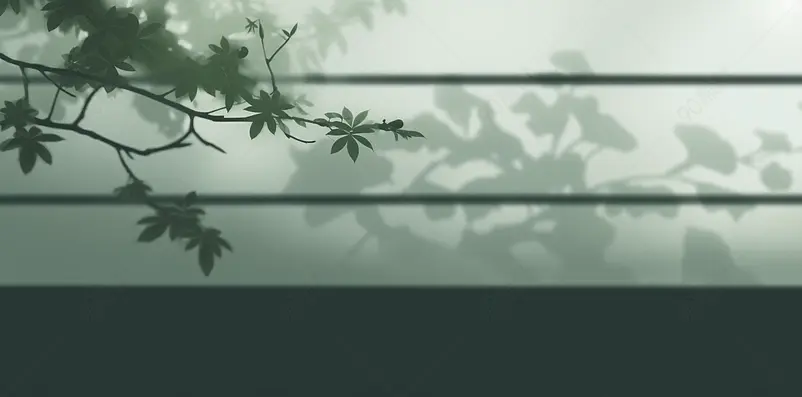唯美莫兰迪植物光影背景