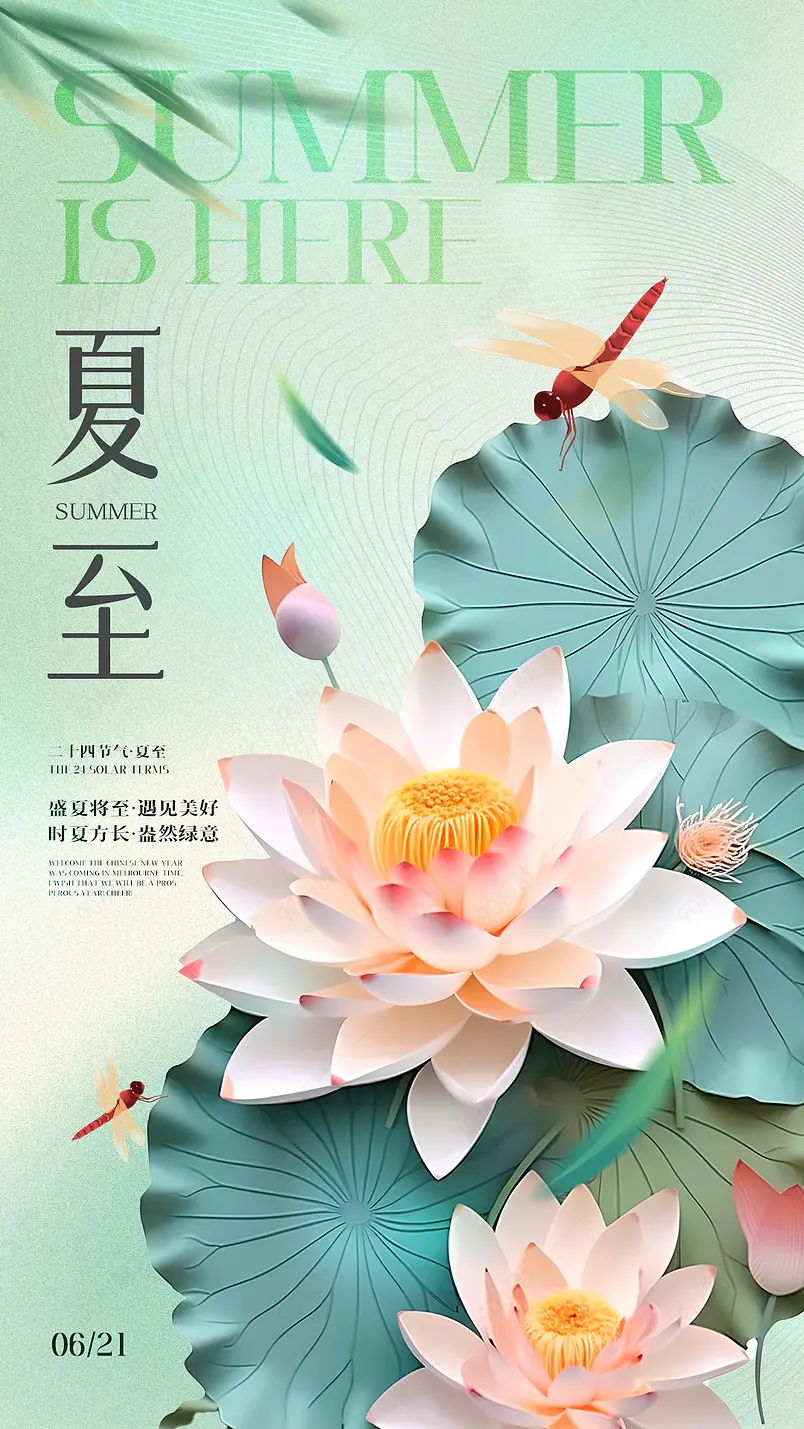卡通简约荷花荷叶蜻蜓夏至节气海报
