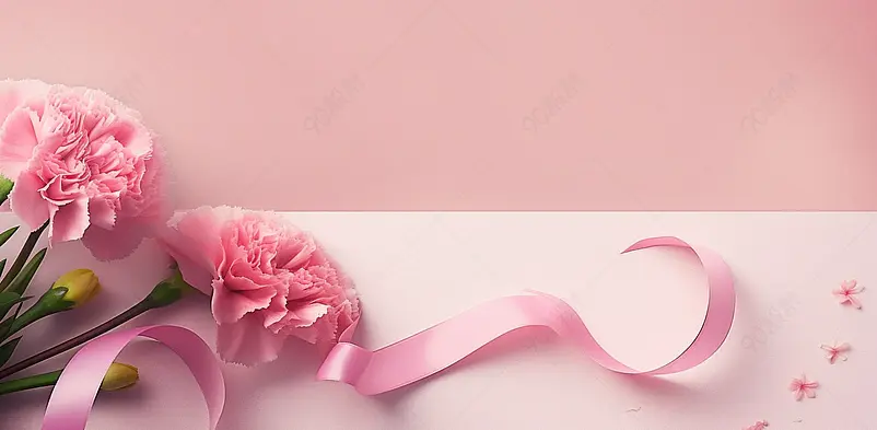 粉色康乃馨母亲节海报背景