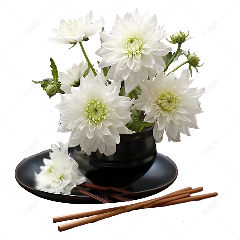 白色花朵花卉放在桌子上